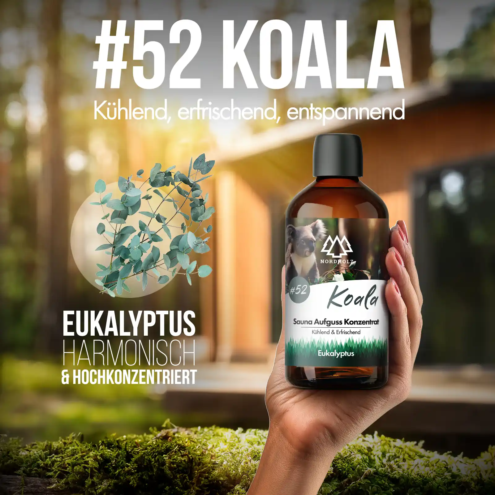 Sauna Aufguss Konzentrat #52 Koala - Image 2