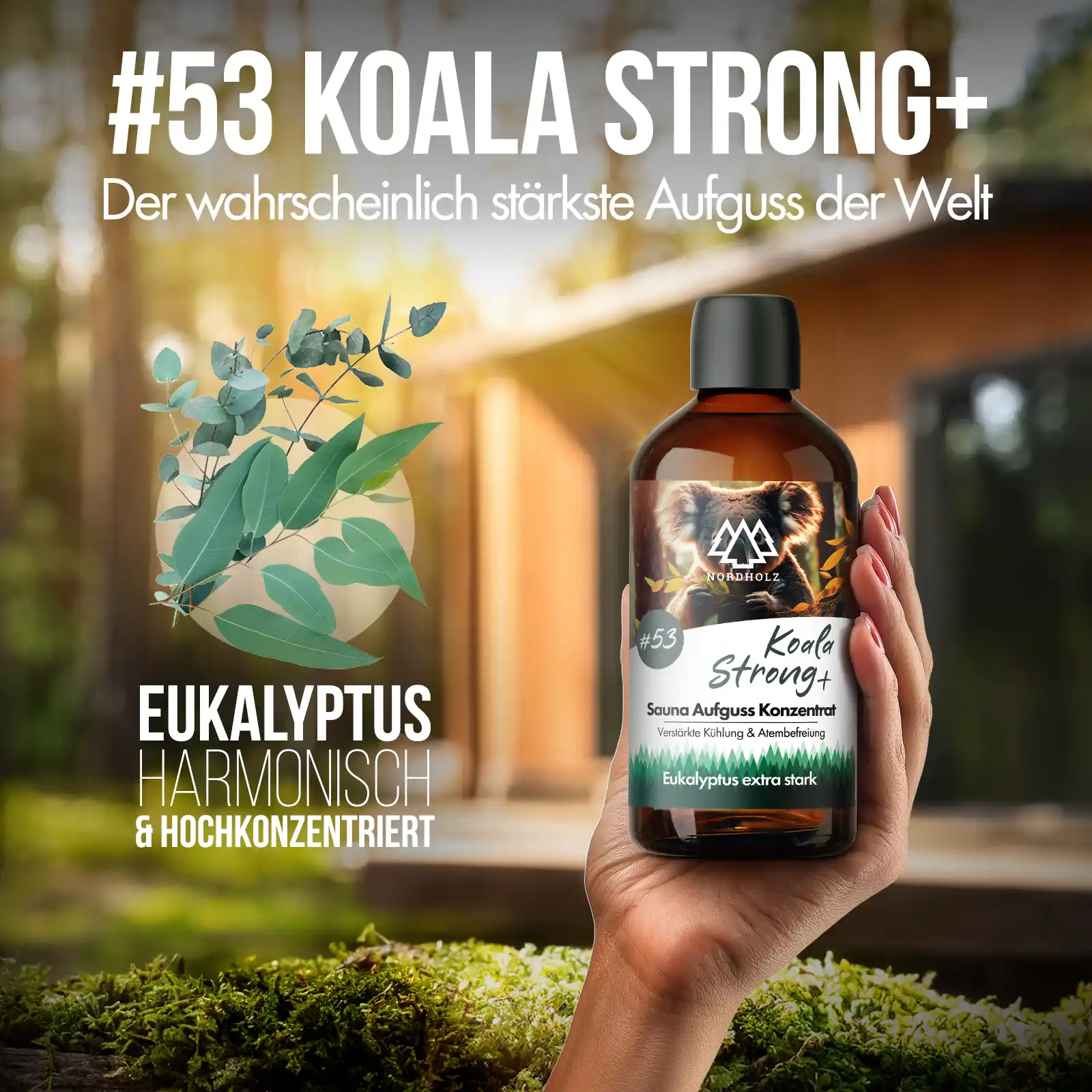Sauna Aufguss Konzentrat #53 Koala Strong+ - Image 2